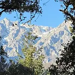 Casucas De Remona *